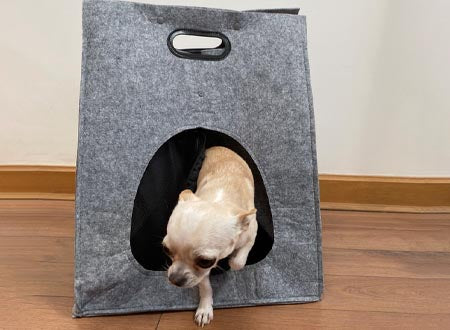 Bolso de Fieltro para Transportar Mascotas Pequeñas: Comodidad y Seguridad